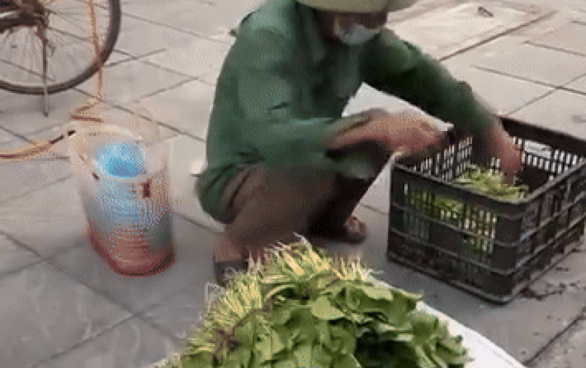 Thấy cụ ông khắc khổ bán rau, đôi nam nữ thanh niên có hành động bất ngờ Ảnh 2