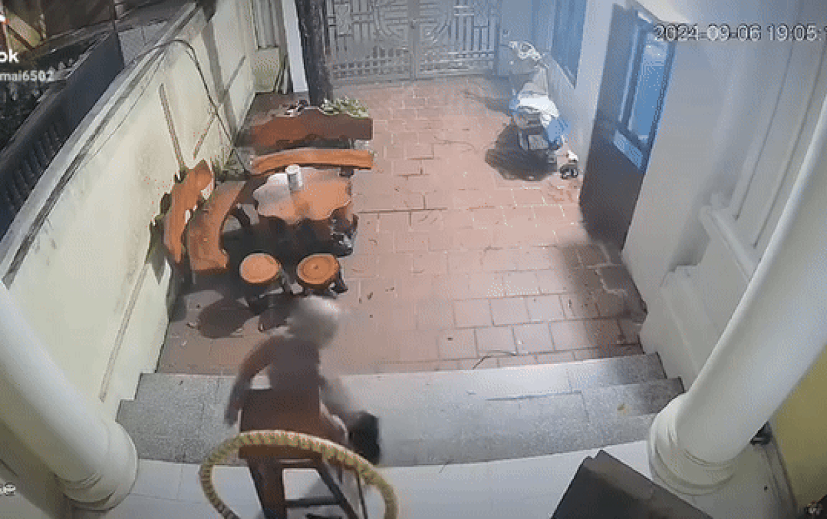 Gần 6 triệu người rưng rưng vì khoảnh khắc cụ bà không may ngã bậc tam cấp Ảnh 2