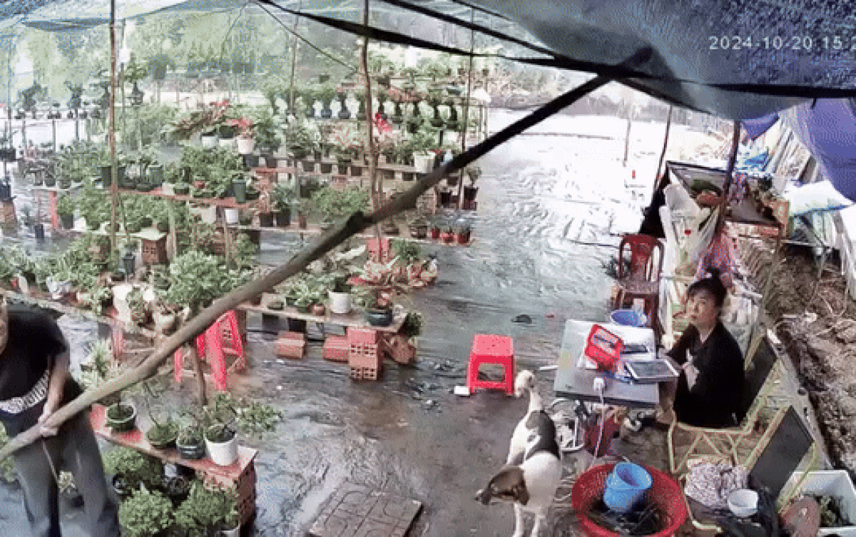 Cô gái hất nước mưa trên bạt xuống và cái kết dở khóc dở cười Ảnh 2