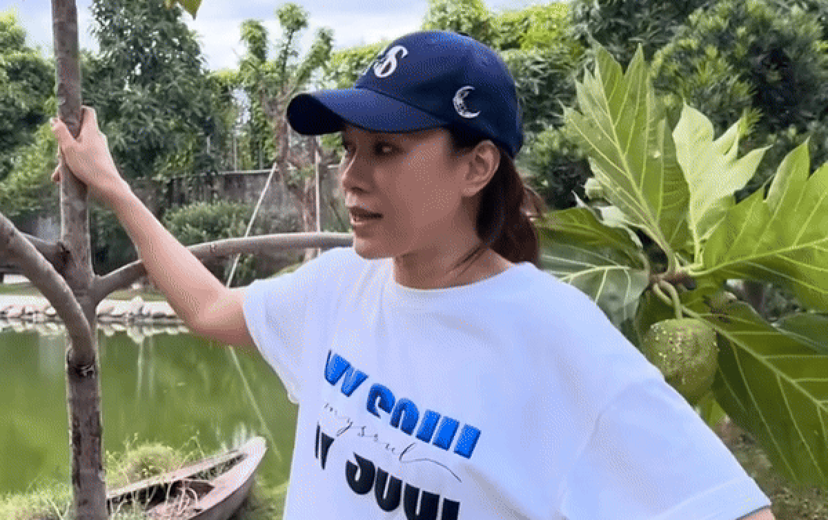 Clip Mỹ Tâm rối rít xin lỗi một nhân vật gây sốt, gần 2 triệu lượt xem Ảnh 2