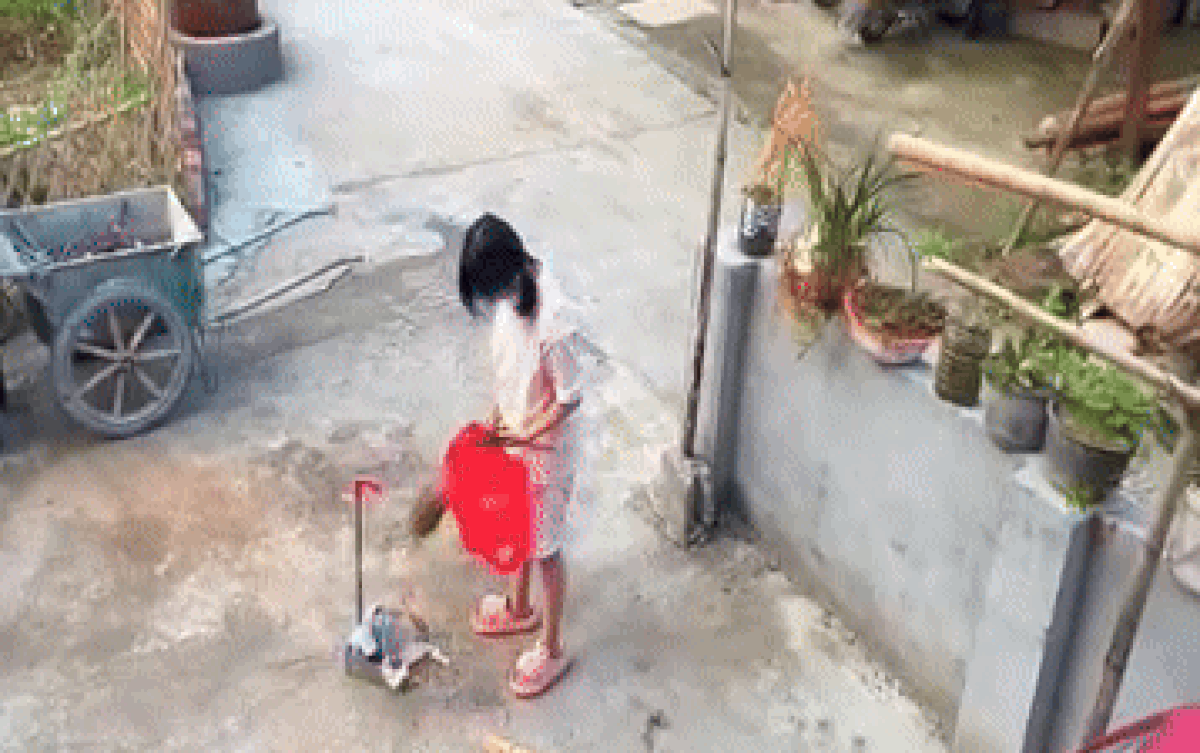 Bé gái đang quét sân thì giật mình lùi ra xa, dân tình xem camera liền hiểu lý do Ảnh 2