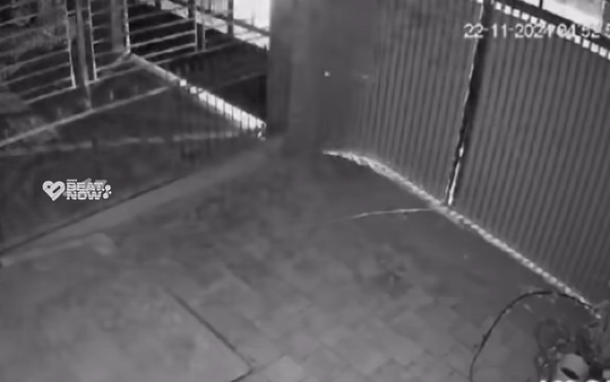 Nghe tiếng động mạnh lúc rạng sáng, chủ nhà check camera thấy cảnh ngỡ ngàng Ảnh 2