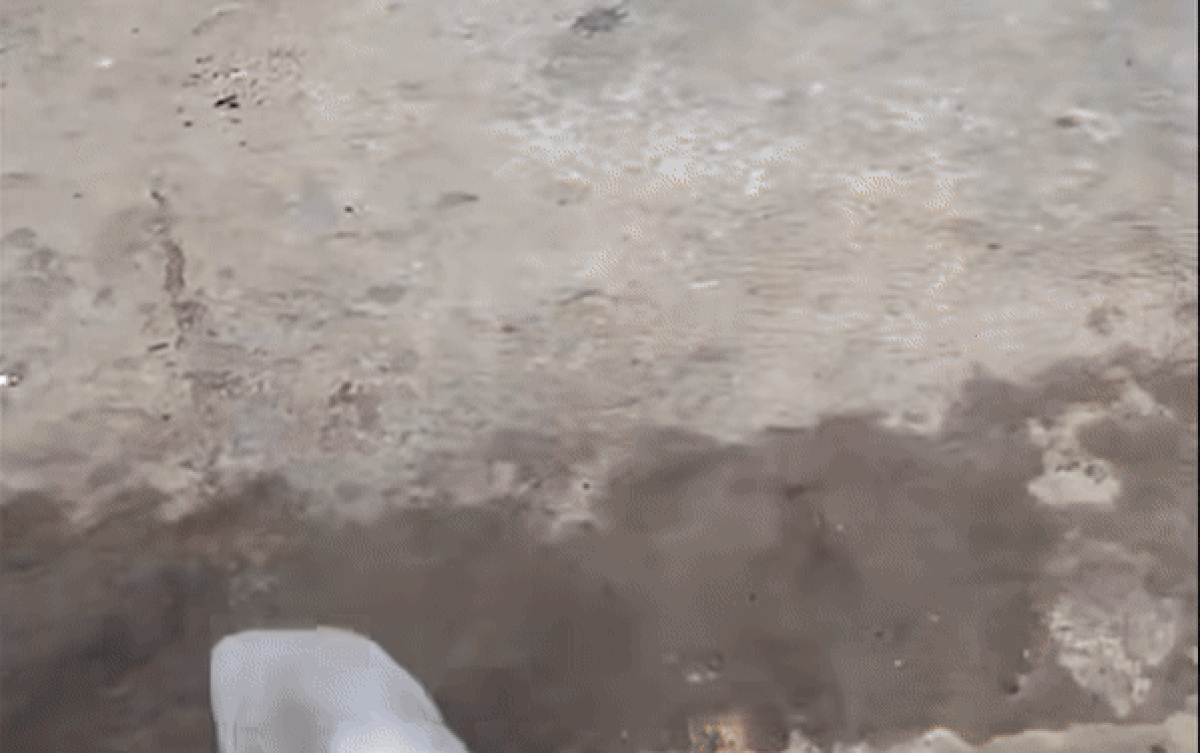 Mua mũ bảo hiểm online, người đàn ông có pha kiểm tra hàng khiến ai cũng cạn lời Ảnh 2