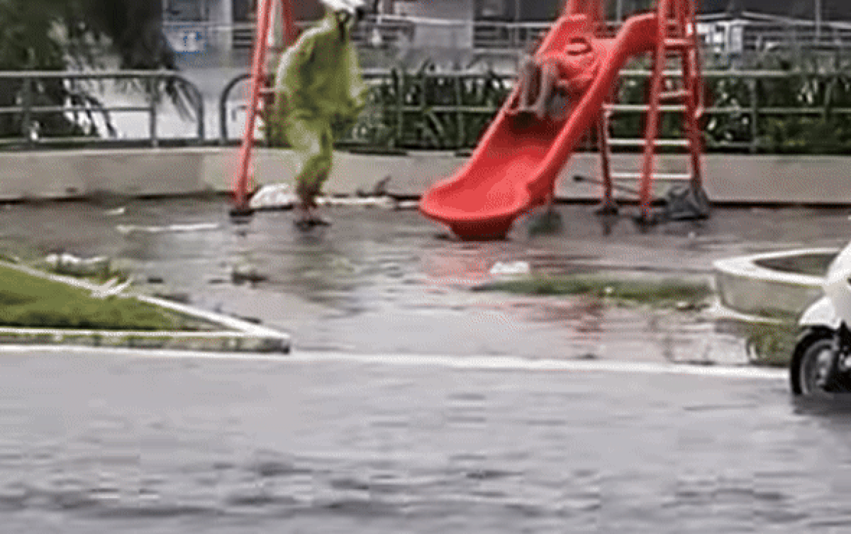 2 thanh niên khiến cả phố ngoái nhìn, biết lý do ai cũng cười ngất Ảnh 2