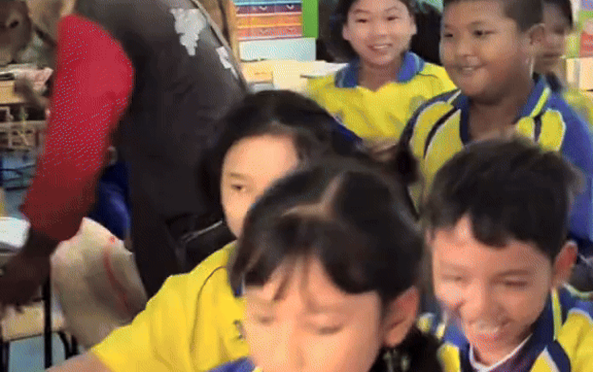 'Vị khách' không mời xông vào lớp học, học sinh lẫn thầy giáo bỏ chạy tán loạn Ảnh 2