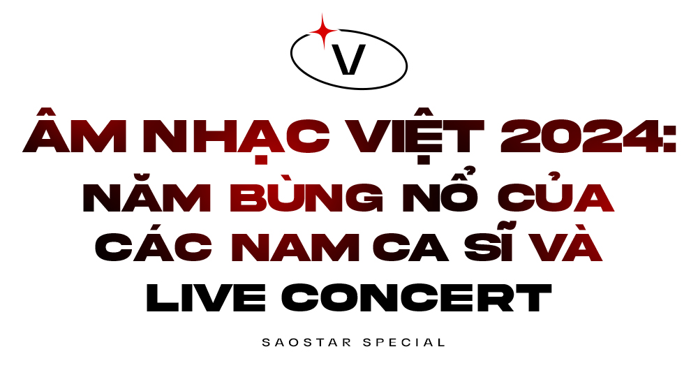 Nhìn lại showbiz Việt 2024 Ảnh 9