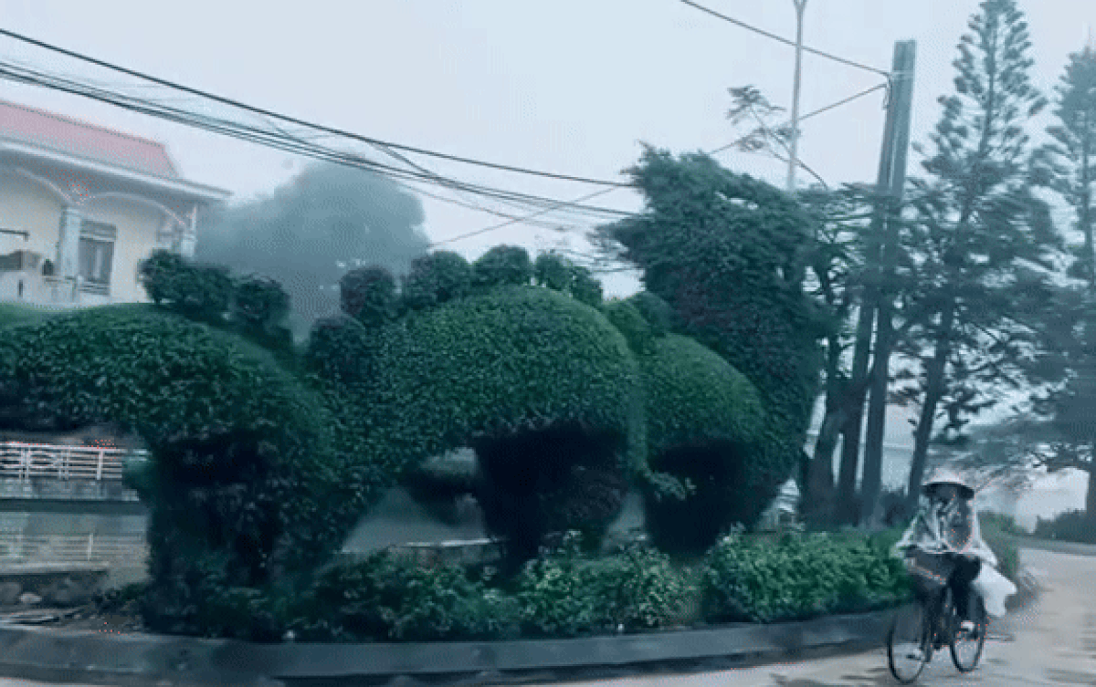 Rồng Nam Định vừa xuất hiện, dân mạng liền khẳng định: 'Một chín một mười' với rồng Nghệ An Ảnh 2