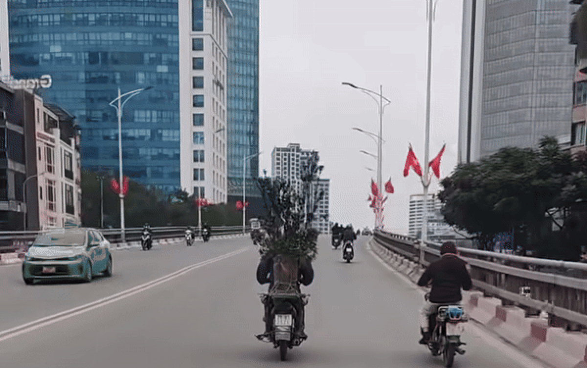 Mua được chậu quất chở về nhà chơi Tết, người đàn ông khiến người đi đường tủm tỉm cười Ảnh 2