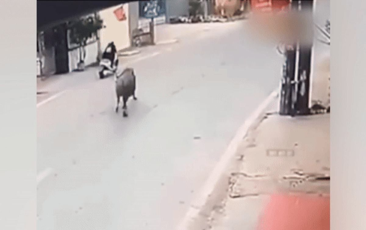 Đang chạy xe máy, cô gái phải bỏ chạy thục mạng vì lý do trớ trêu này Ảnh 2