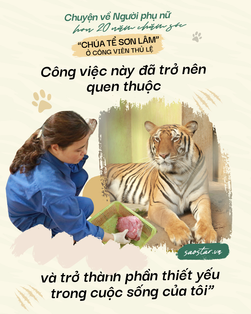 Chuyện về người phụ nữ hơn 20 năm chăm sóc 'chúa tể sơn lâm' ở công viên Thủ Lệ Ảnh 5