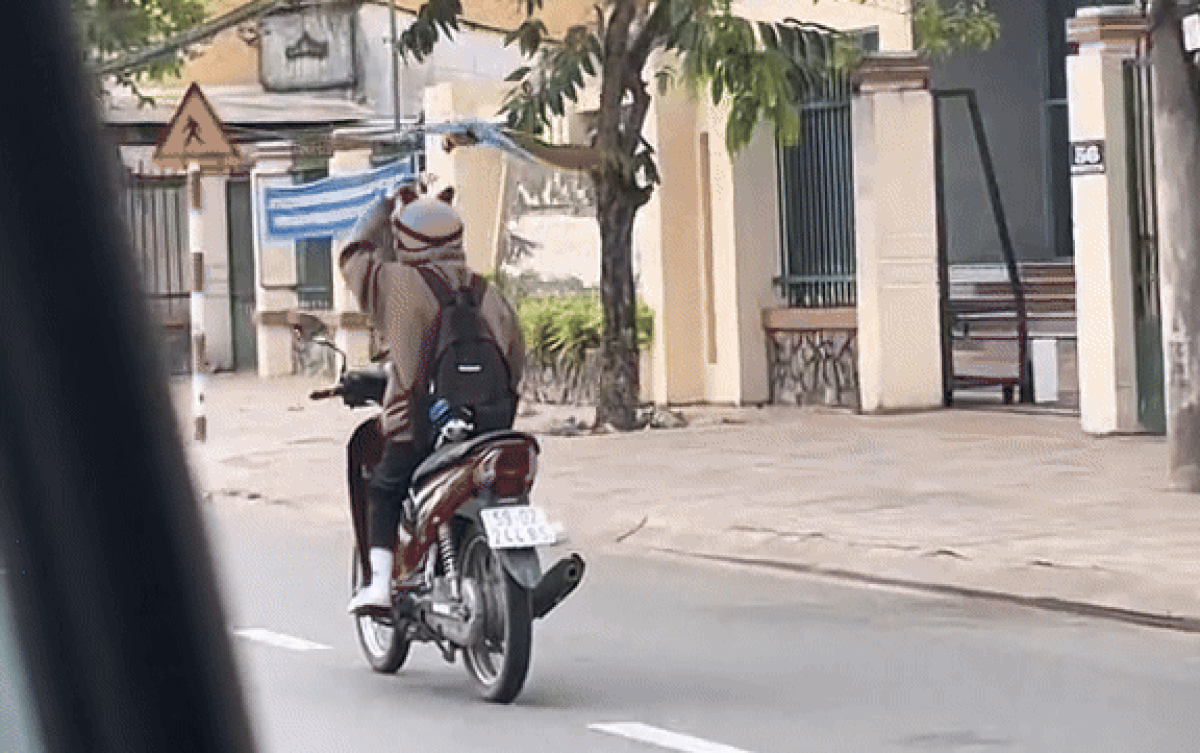 Chạy xe máy trên đường, cô gái bị chú chim trêu đùa ngay trên đầu Ảnh 2