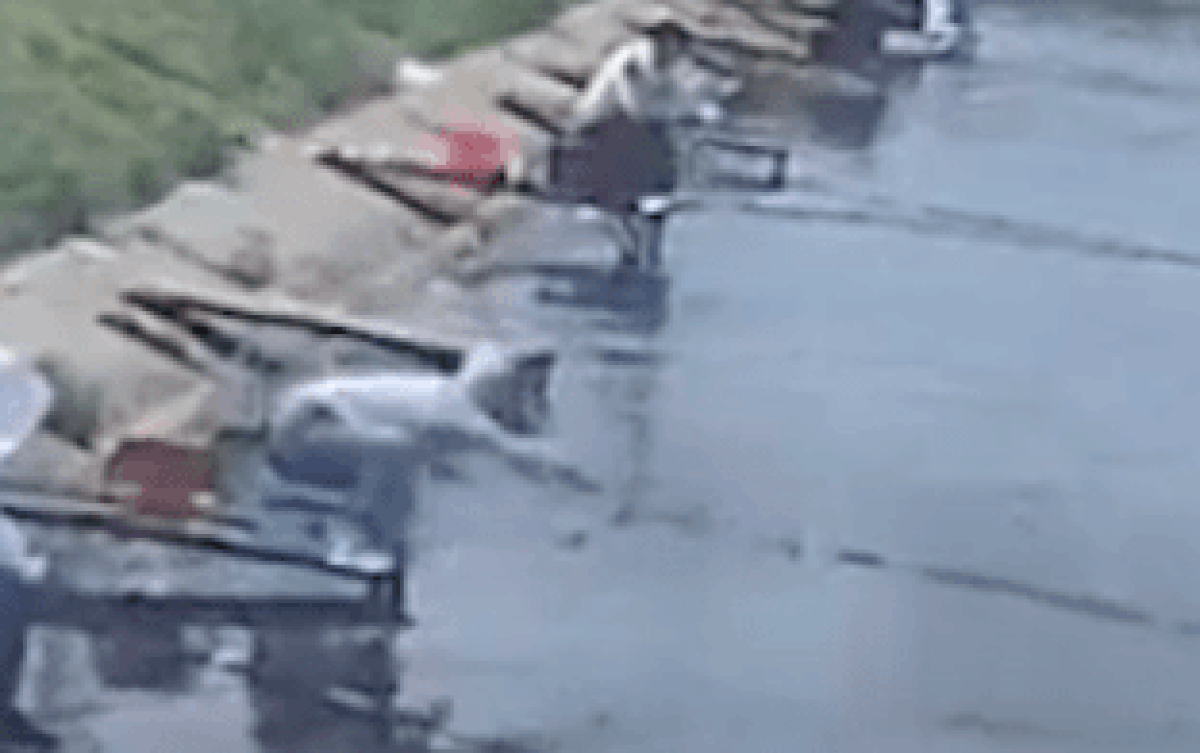 Cần thủ bị cá 20kg kéo rơi xuống nước khi đang ngồi câu Ảnh 2