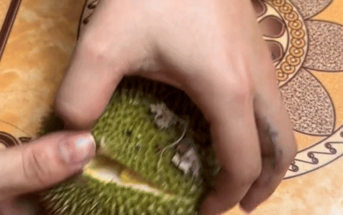 Khui quả sầu riêng mini, thanh niên sung sướng khi thấy thành phẩm Ảnh 2