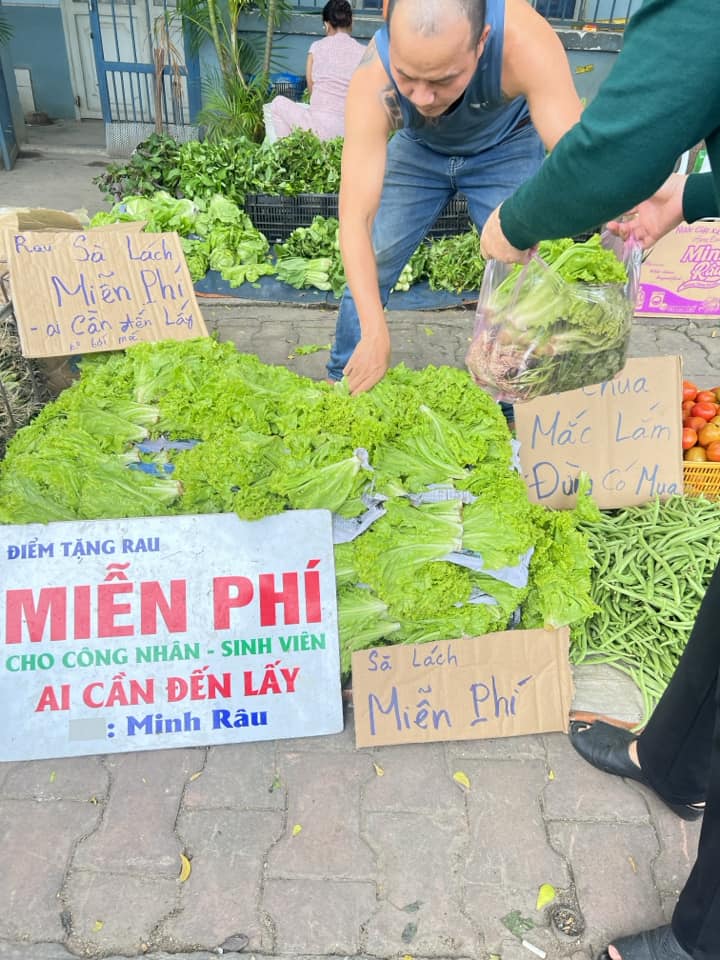 Lý do khiến ông chủ bán rau muống 5 tỷ/bó khiến dân mạng bật cười ...