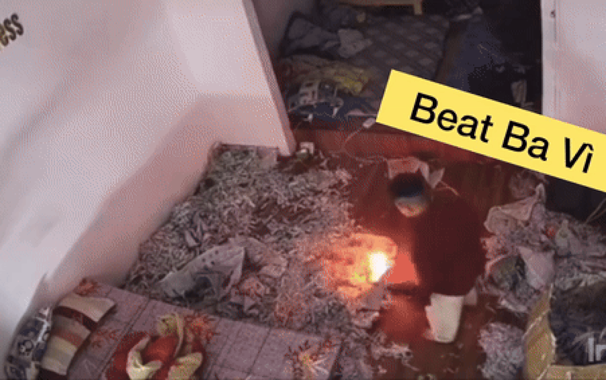 Hơn 5 triệu lượt xem clip 'búp măng non' khiến cả nhà được phen hoảng hốt Ảnh 2