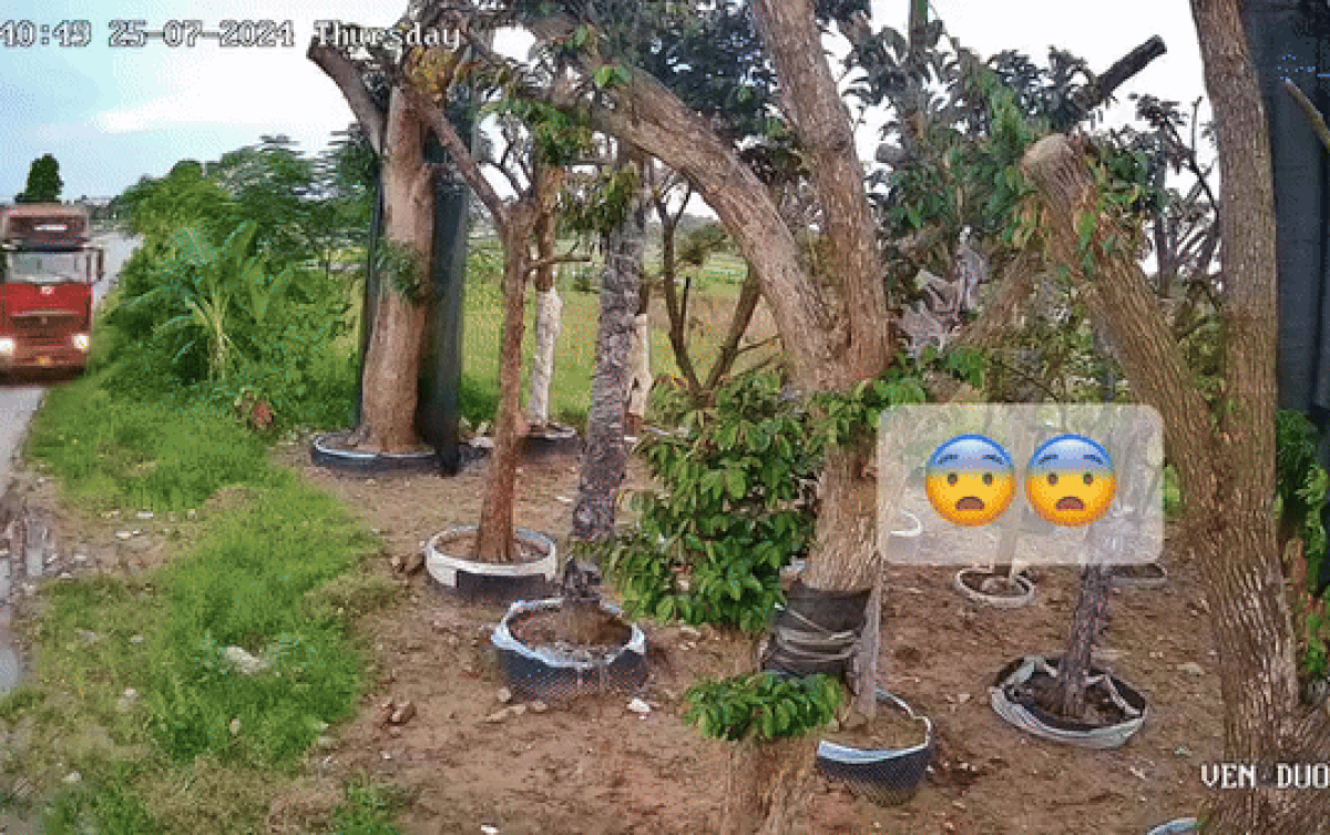 Tình huống giao thông khiến dân tình phải thốt lên: May mắn toàn diện! Ảnh 2