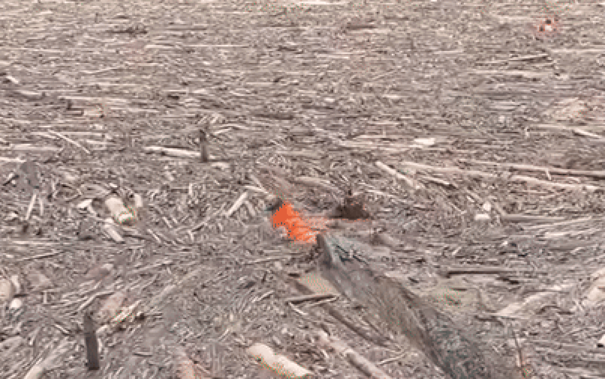 Xúc động clip cán bộ công an bơi giữa dòng củi rác tìm kiếm người mất tích Ảnh 2