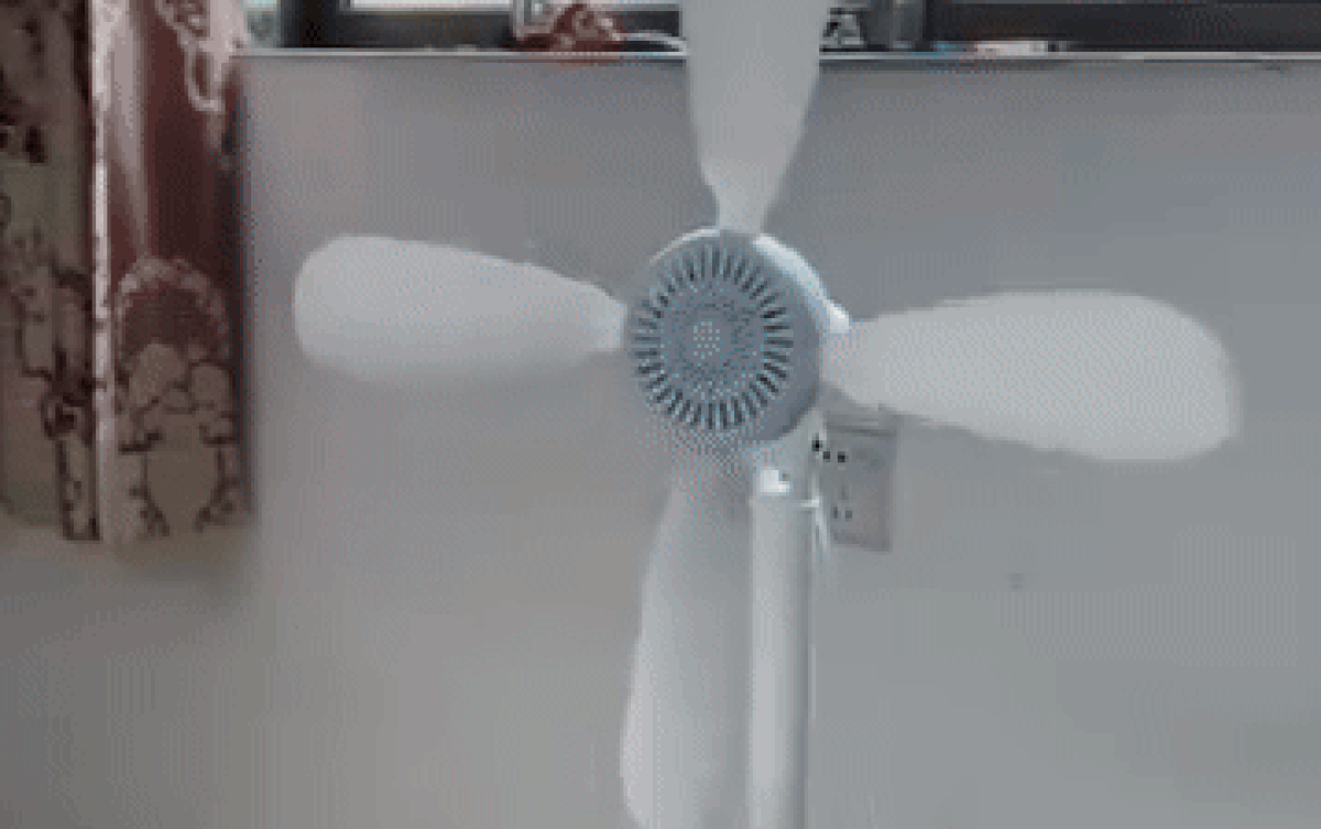 Hí hửng đem cây quạt mới mua ra dùng, cô gái không ngờ đến sự việc tiếp đó Ảnh 2