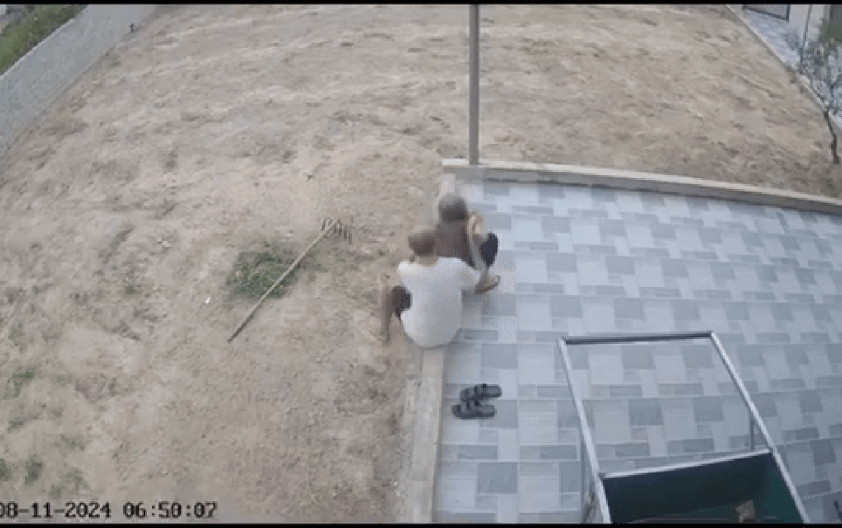 Check camera xem ông bà ở nhà, con cháu liền thấy cảnh ấm lòng Ảnh 2