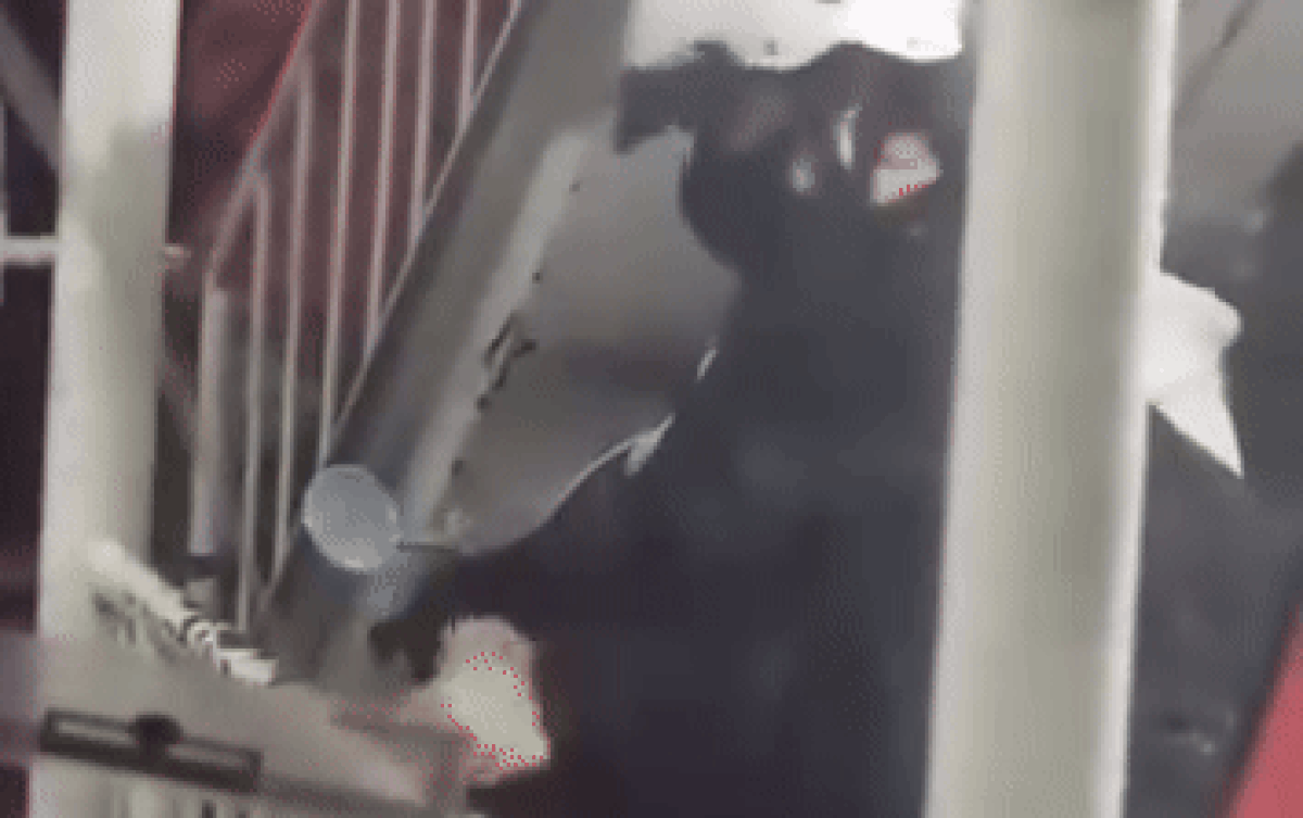 Tay cô gái liên tục làm động tác lạ lúc qua phà, biết lý do ai cũng thương Ảnh 2