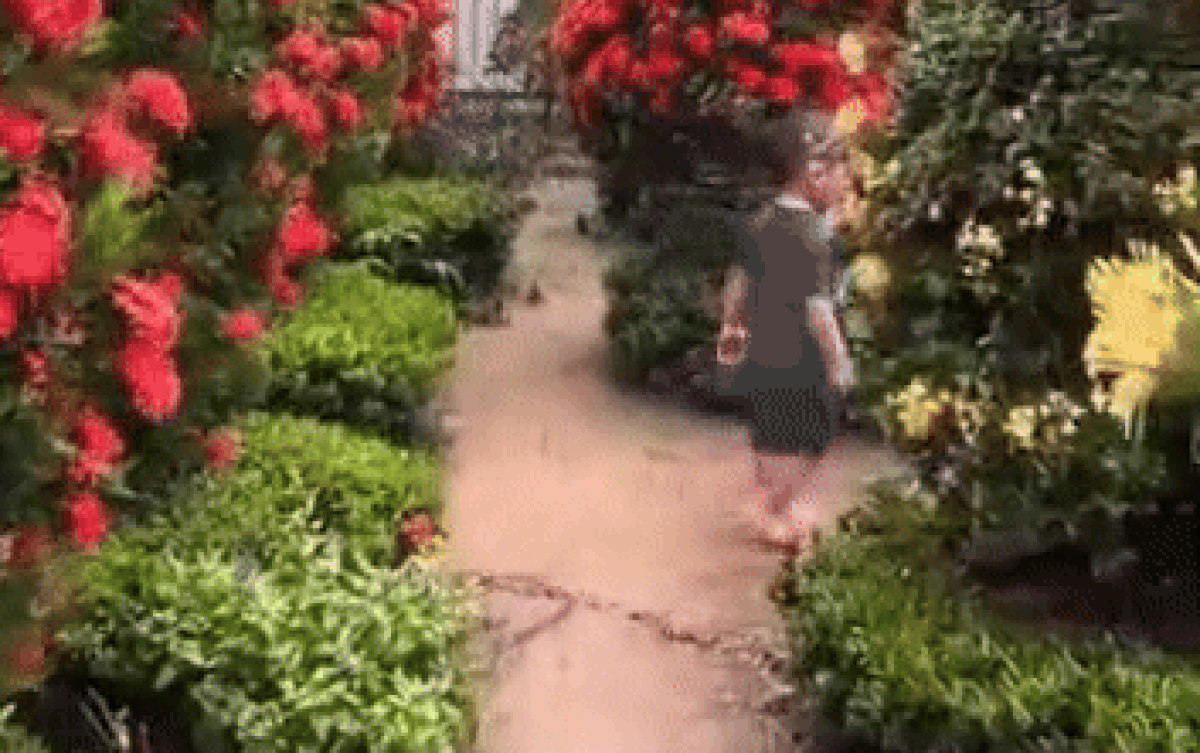 Bé trai biến mất trong tích tắc dù mẹ đi phía sau, cái kết khiến ai cũng ngỡ ngàng Ảnh 2