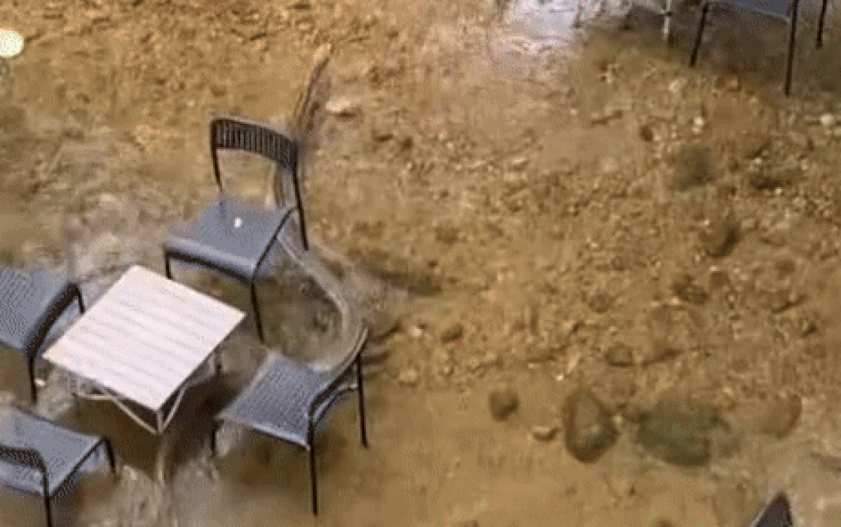 Đi cà phê suối để hoà mình với thiên nhiên, cô gái tái xanh mặt khi nhìn xuống chân ghế Ảnh 2