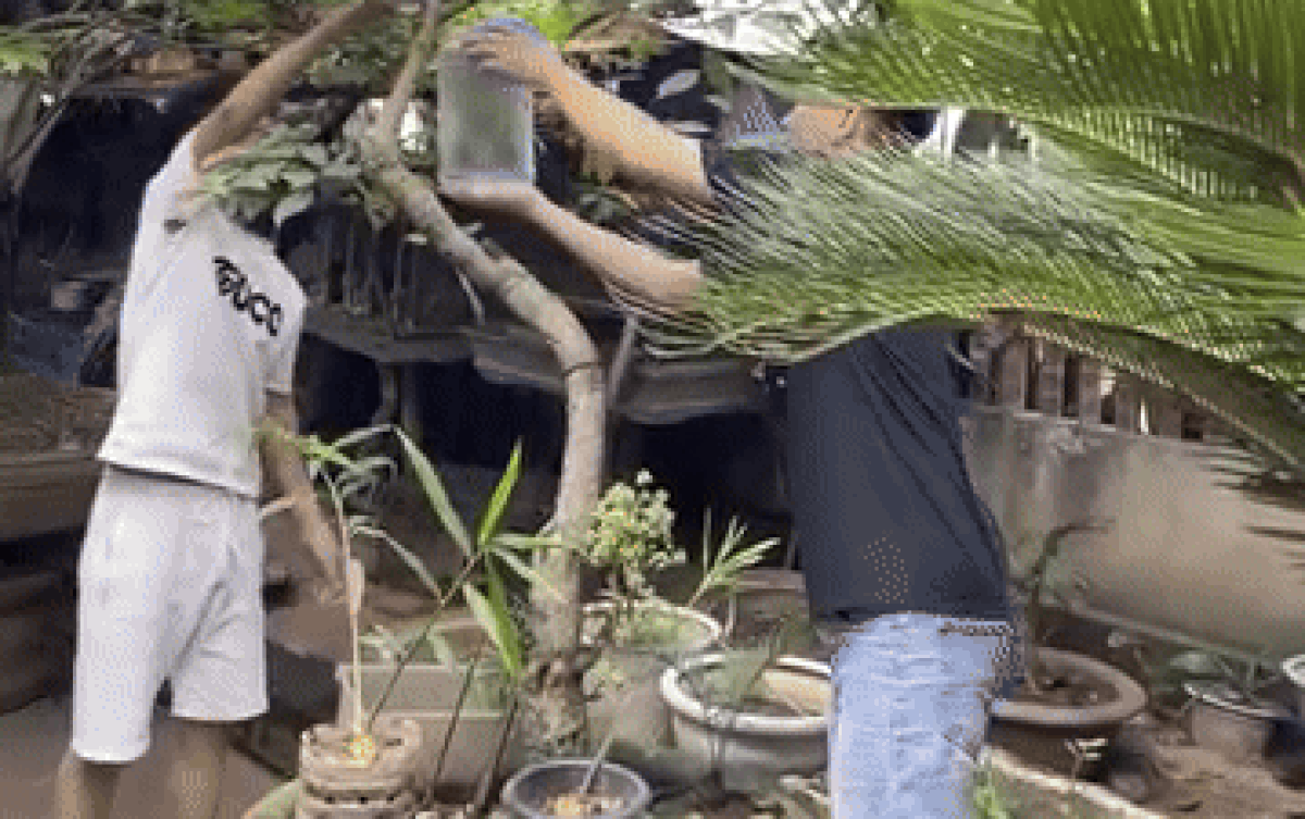 Đi bắt tổ ong, 2 thanh niên khiến dân mạng nín thở theo dõi cái kết Ảnh 2