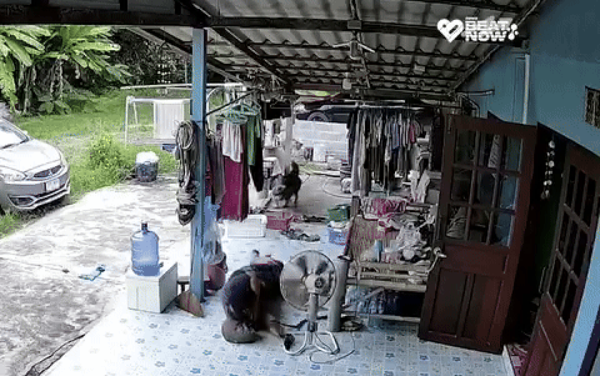 Đang ngủ trưa thì 'khách không mời' đến hỏi thăm, nam thanh niên xem lại camera vẫn run sợ Ảnh 2