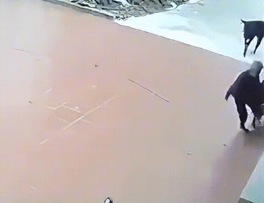 Sợ hãi trước khoảnh khắc cụ bà bị sinh vật lạ tấn công và cách xử lý đi vào lòng người của bạn nhỏ Ảnh 2