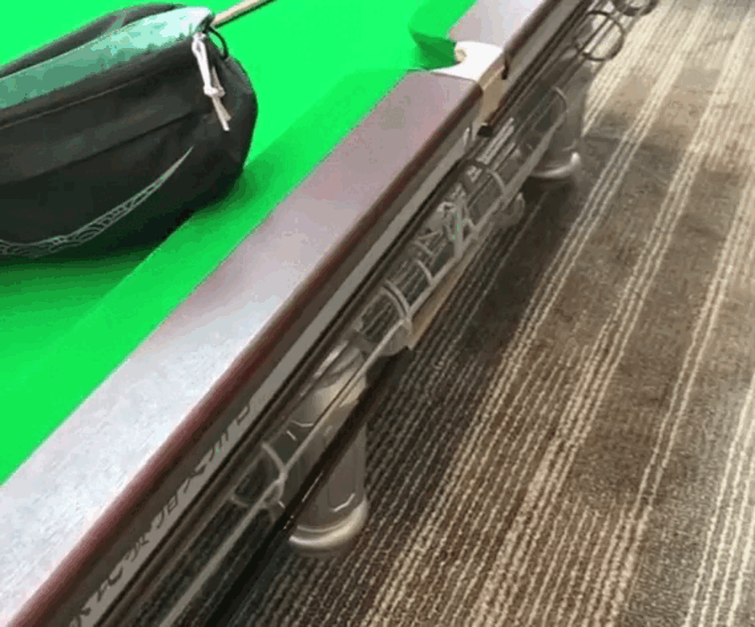 Cô gái chia sẻ khoảnh khắc rùng mình trước hàng nghìn con bọ bò lúc nhúc trên ghế sofa công cộng Ảnh 2