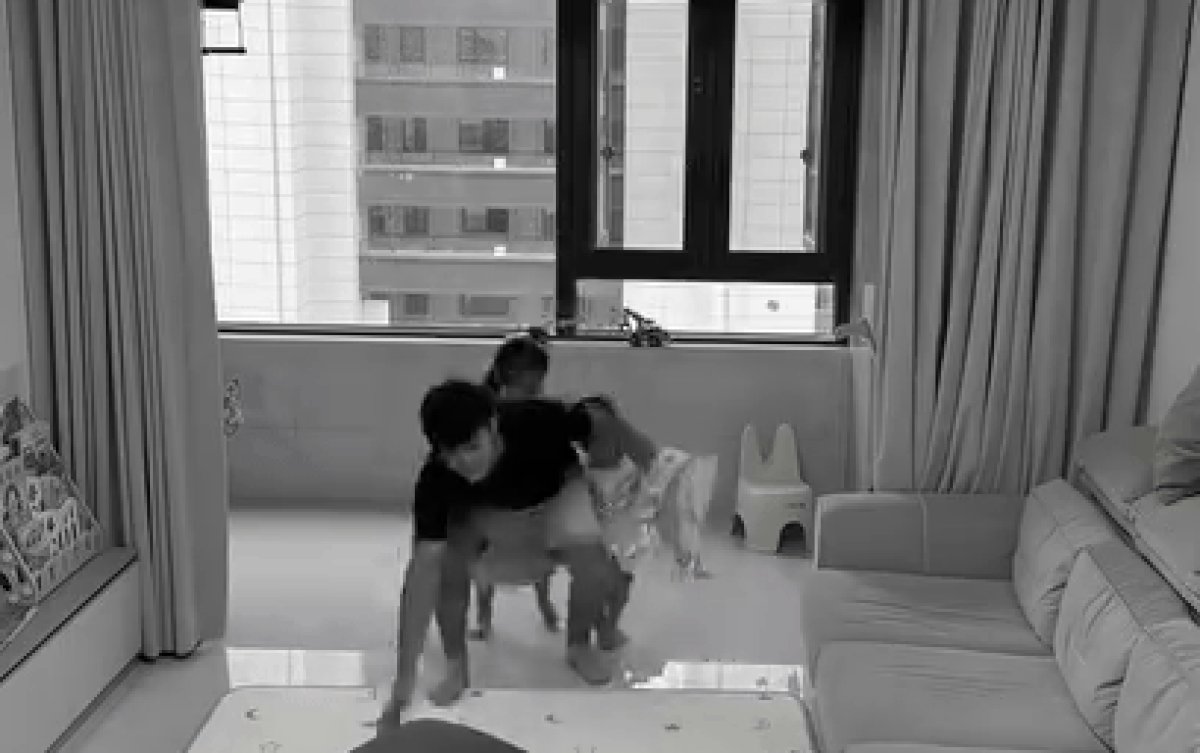 Bố hoảng hốt dang tay bảo vệ 2 con nhỏ, cuối đoạn clip có điều bất ngờ Ảnh 2