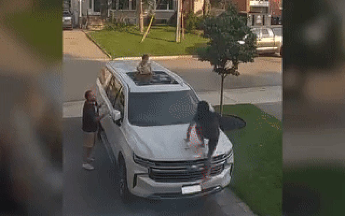 Để con trai cho bố trông, camera ghi lại cảnh cực hài hước Ảnh 2