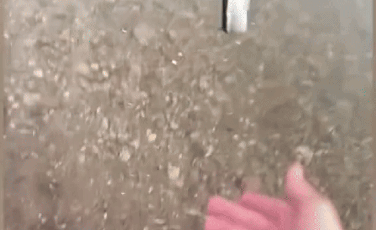 Thấy con cá mắc cạn, chàng trai tốt bụng cứu giúp ai ngờ gặp phải 'báo thủ' Ảnh 2