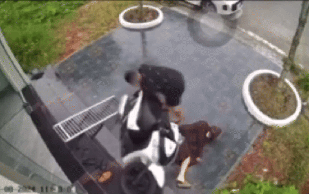 2 vợ chồng vừa thấy nhau liền ngã dúi dụi, dân tình phát hiện ngay nguyên nhân Ảnh 2