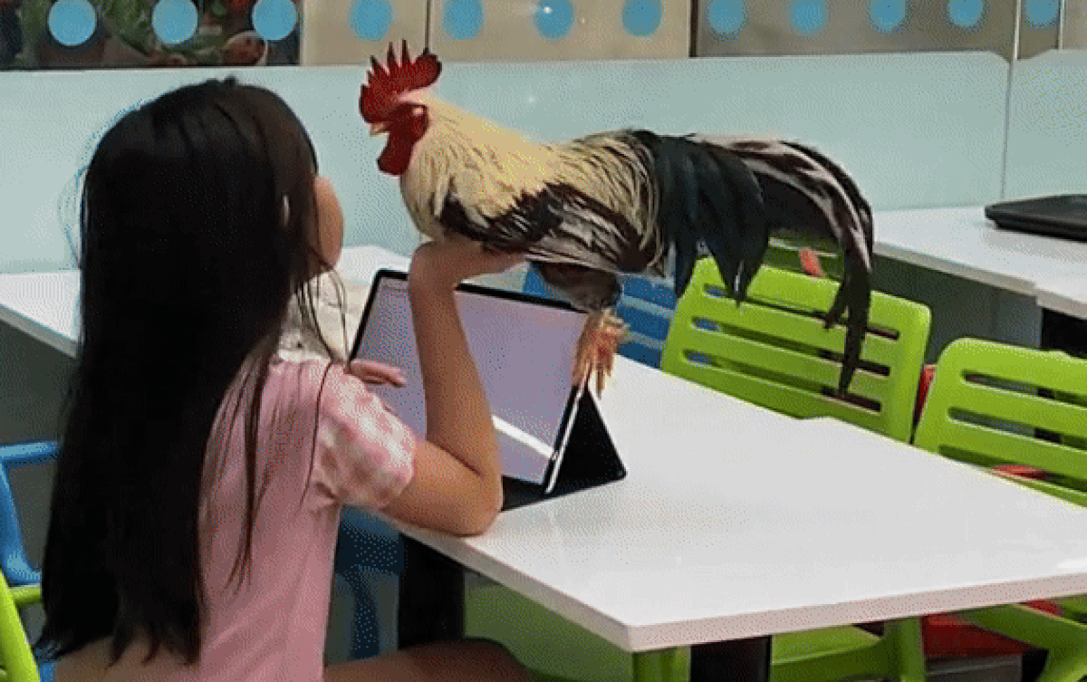 Bé gái ngồi chơi máy tính, dân tình ngỡ ngàng khi thấy thú cưng bên cạnh Ảnh 2