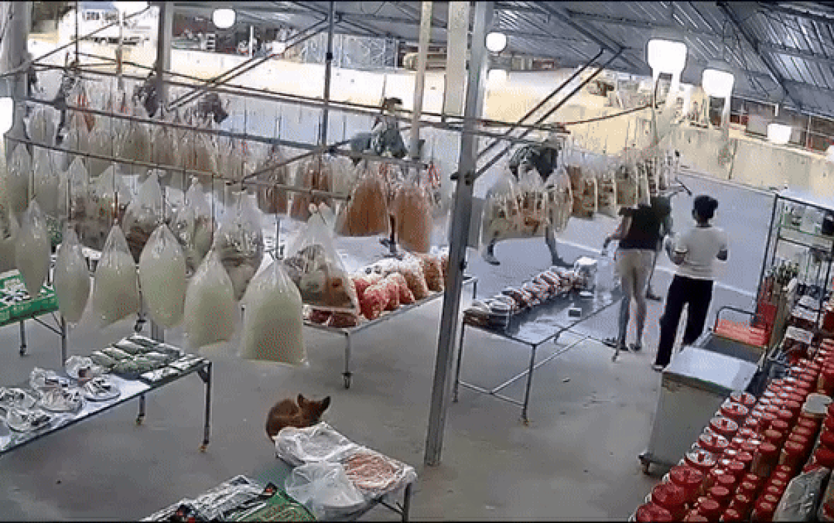 Thấy bộ đội hành quân, chủ hàng tạp hoá có hành động khiến CĐM ấm lòng Ảnh 2