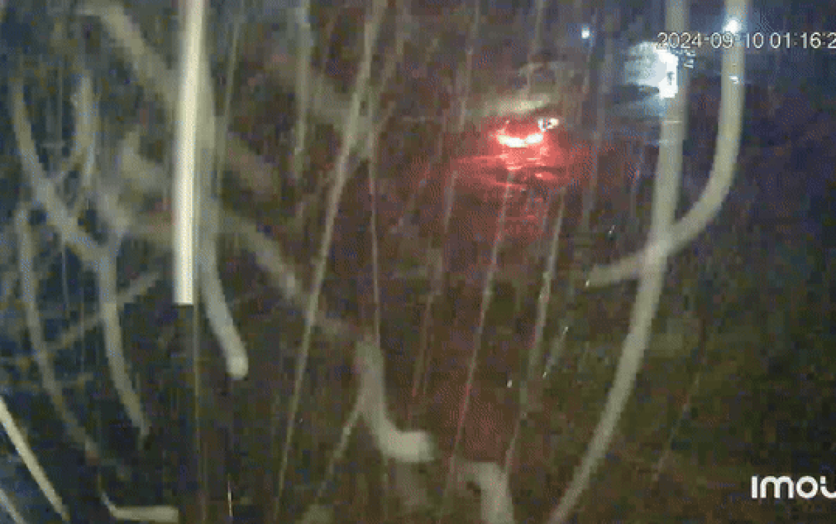 Đại uý quân đội tử vong sau khi rơi cùng xe xuống suối, camera hiện trường ghi cảnh đau lòng Ảnh 2