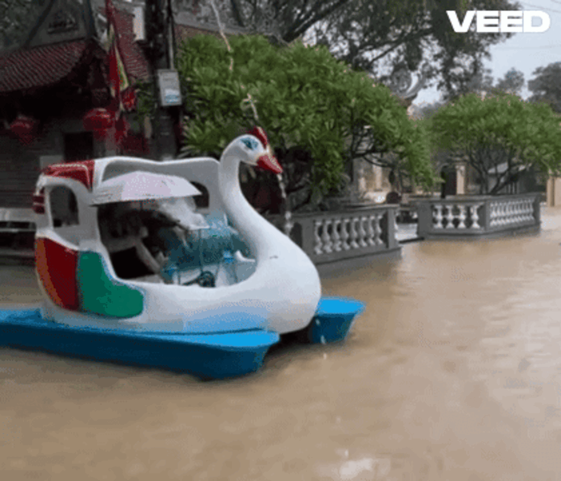 Không đâu lạc quan bằng Việt Nam, người dân đạp vịt giữa dòng nước lũ vừa thương vừa buồn cười Ảnh 2