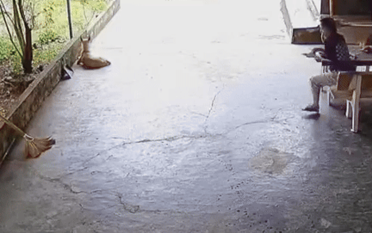 Nữ sinh được khen chăm chỉ khi mẹ vắng nhà, camera lại 'tố' hết sự lươn lẹo Ảnh 2