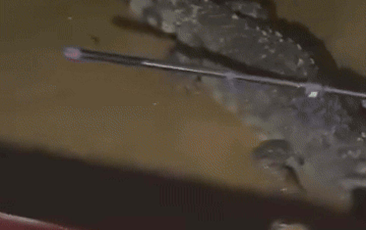 Nước lũ đã rút nhưng vẫn chưa dám dọn nhà, xem clip dân tình gật gù hiểu lý do Ảnh 2