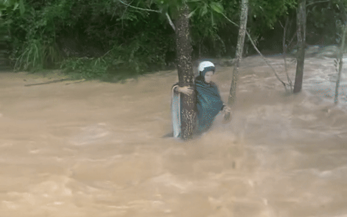 Người phụ nữ bám chặt gốc cây giữa dòng lũ xiết, cái kết khiến dân tình vỡ oà Ảnh 2