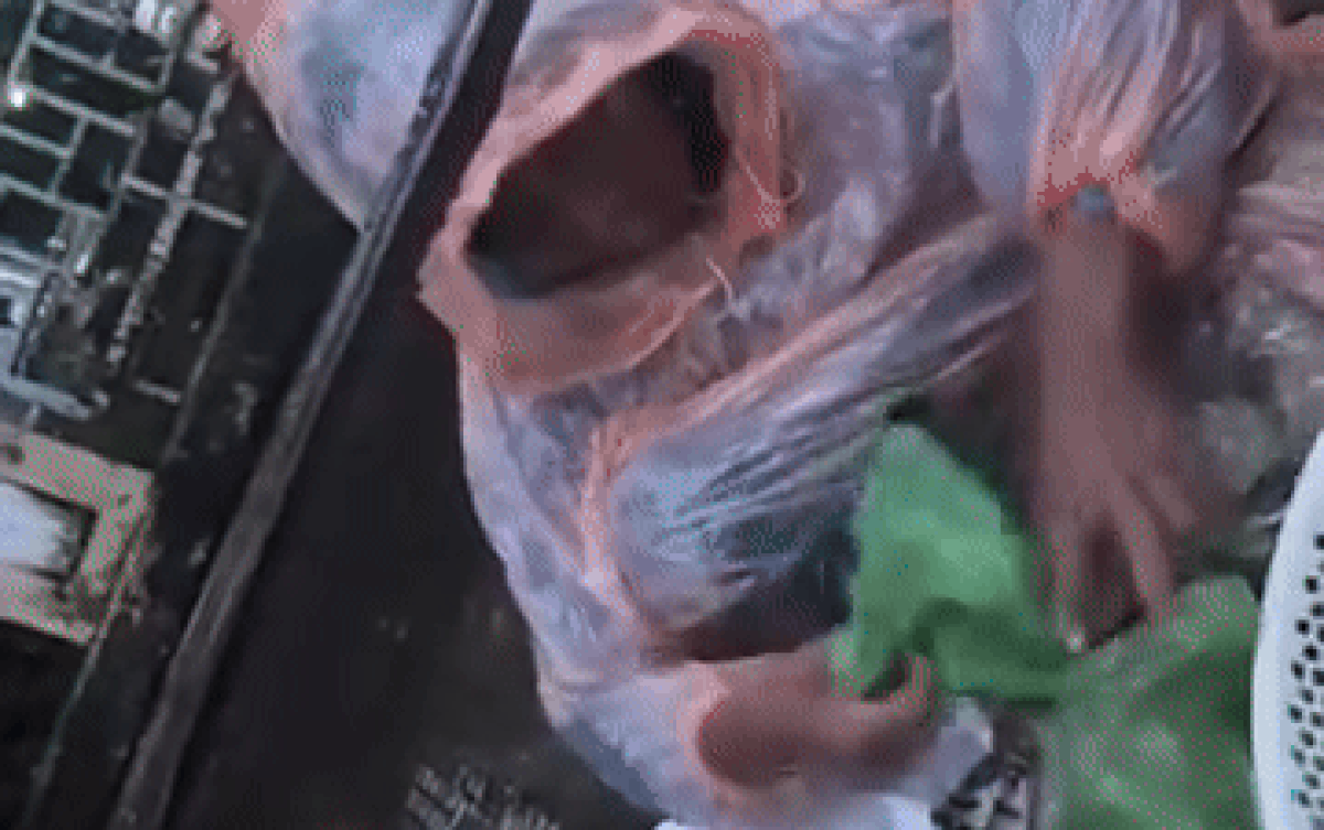 Thấy cụ bà 'đội mưa' bán hàng, cô gái có quyết định khiến hàng triệu người khen ngợi Ảnh 2