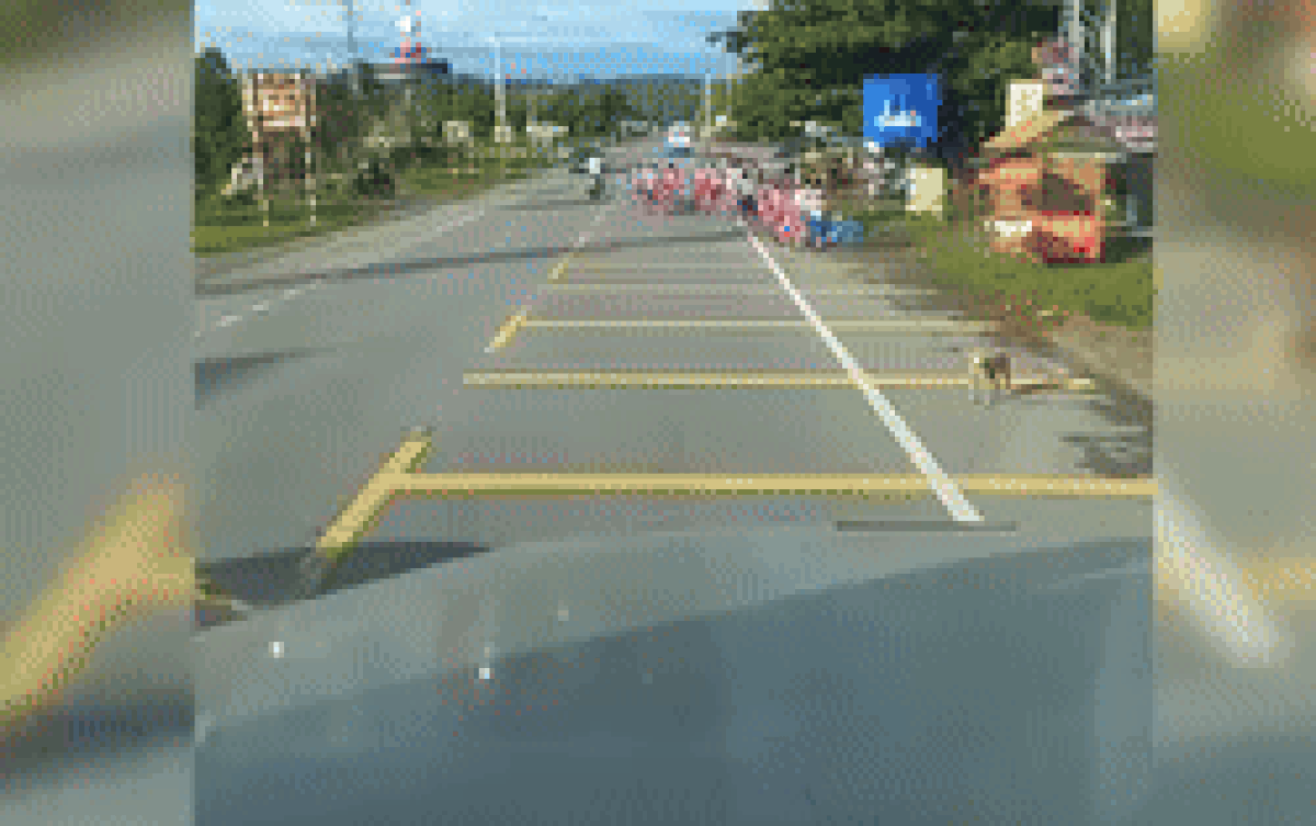 Hết lời khen ngợi tài xế bởi hành động đẹp dành cho các em học sinh lúc tan học Ảnh 2