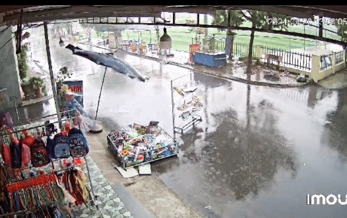 Ngủ trưa dậy thấy hàng hoá bay ra đường, chủ tiệm xem camera mới rõ lý do Ảnh 2