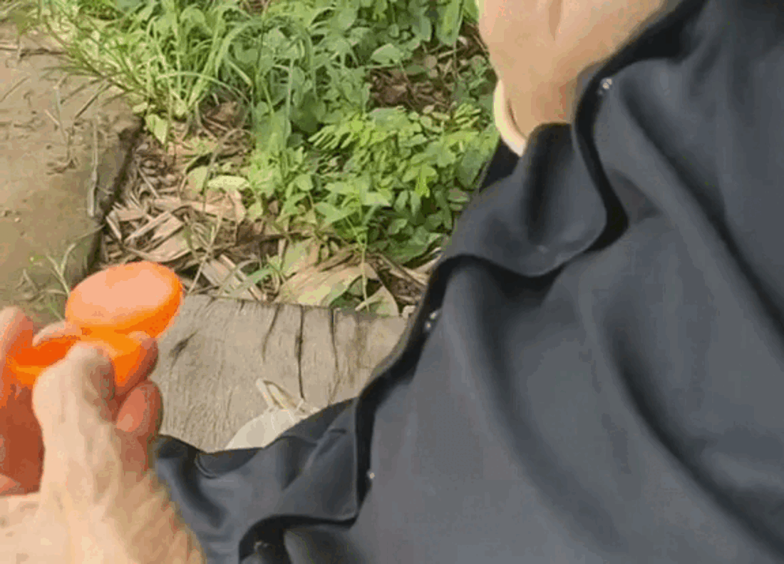 Cả cõi mạng ngỡ ngàng trước thứ quý hơn cả vàng mà bà cụ nhất quyết mang theo bên mình Ảnh 2