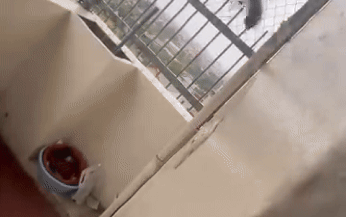 Tận dụng sức gió, nam sinh mang quần ra phơi và cái kết Ảnh 2