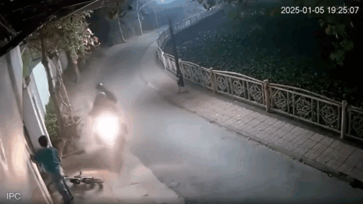 Camera ghi lại cảnh hai kẻ trộm chó trước mặt bé trai, phát ngôn bất ngờ gây phẫn nộ Ảnh 2