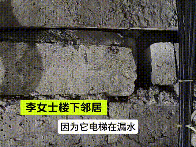 Đang đi du lịch, cô gái bàng hoàng nhận tin ngôi nhà biến thành 'bể bơi mini' Ảnh 2