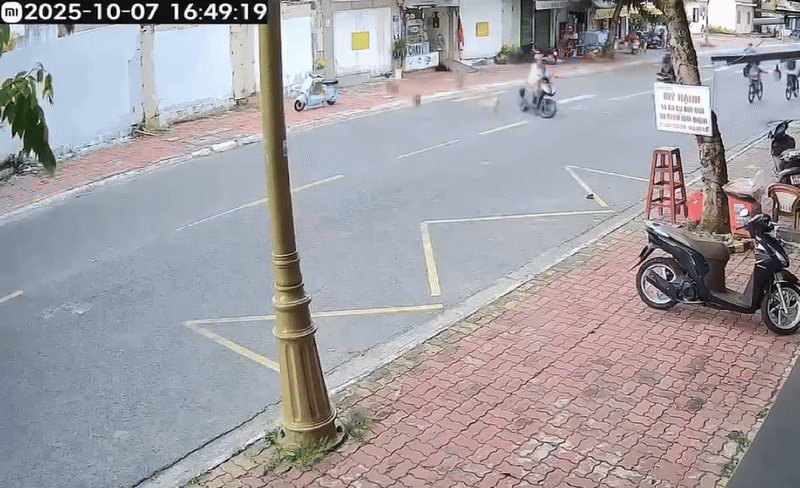 Clip: Đàn chó cả chục con được thả rông ra đường và cái kết khiến nhiều người 'hả hê' Ảnh 1