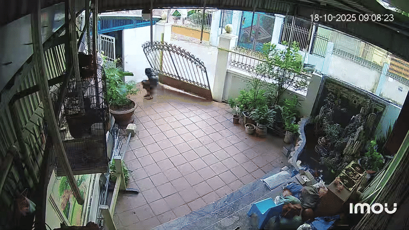 Bé trai gặp sự cố khi đóng cửa cổng khiến nhiều người thót tim. Ảnh cắt từ clip/Nguồn: Minh Hạnh